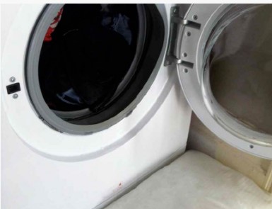 Indoor - Suitable Indoors or Outdoors Indoor - Suitable Indoors or Outdoors